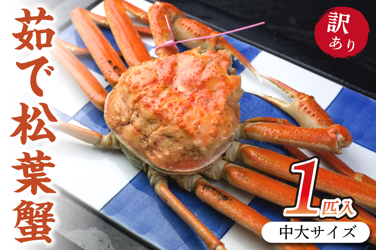 日本海産 茹で松葉蟹[訳あり]中大サイズmatubakani800