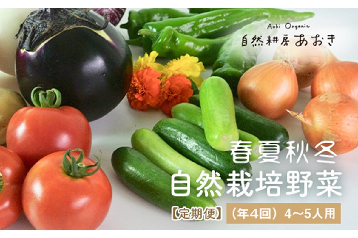【年4回定期便】春夏秋冬自然栽培野菜セット(年4回)4〜5人用