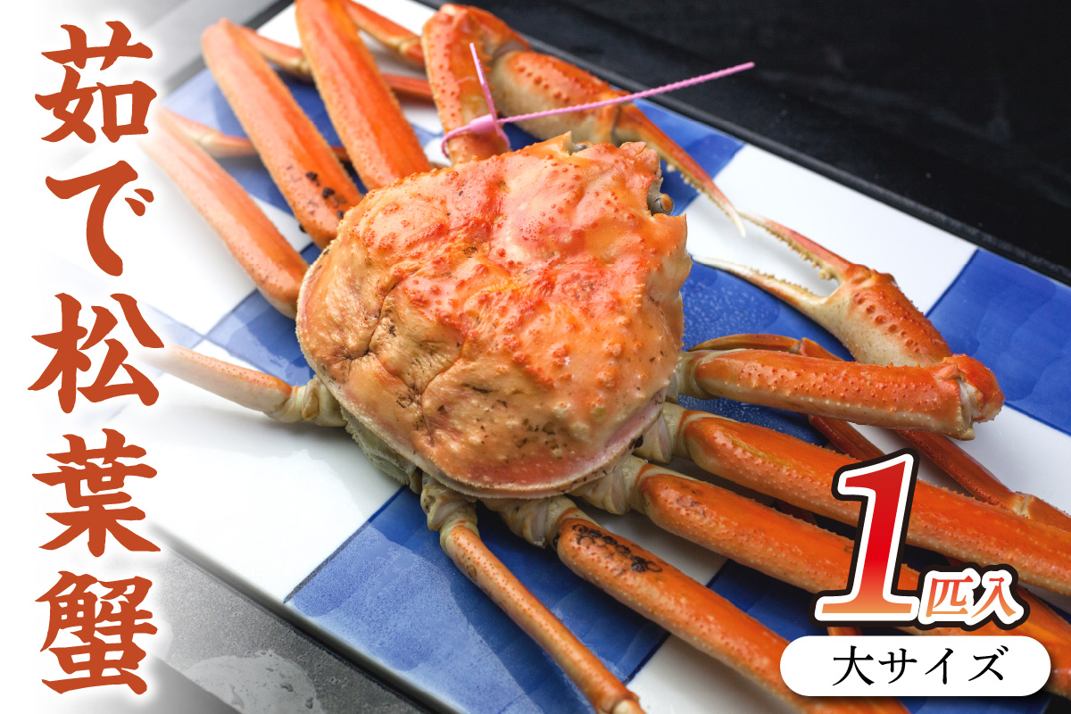 日本海産 ブランド蟹 茹で松葉蟹 【厳選】 大サイズ　matubakani900