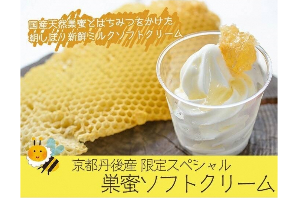 京都・丹後産 限定スペシャル巣蜜ソフトクリーム（120ml×5個入）