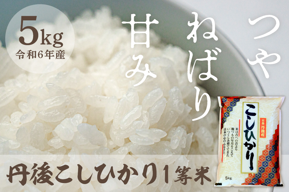 令和6年産 1等米 丹後こしひかり 5kg