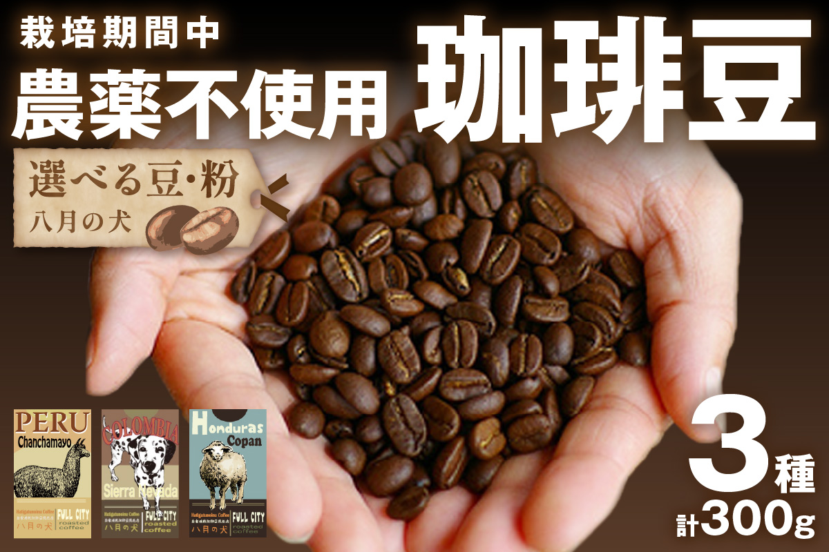 【栽培期間中農薬不使用】自家焙煎コーヒー豆　お試しセット（100gx3種）八月の犬　珈琲豆　ドリップ　飲み比べ　コホペ