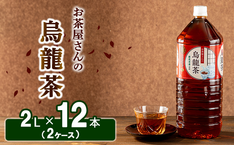 [ふるさと納税]烏龍茶 ウーロン茶 2L 12本 飲み物 飲料 ドリンク 水分補給 ヘルシー 食事のおともに