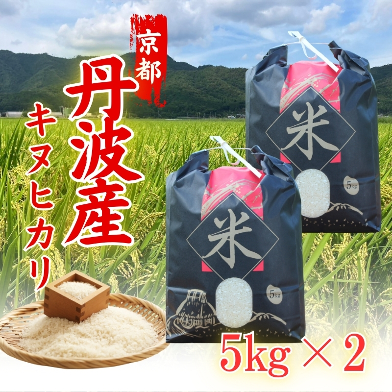 令和6年度産 新米 キヌヒカリ 10kg 京都丹波産 ※10月中旬以降お届け