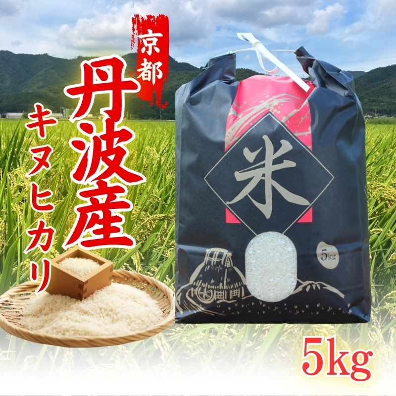 令和6年度産 新米 キヌヒカリ 5kg 京都丹波産 ※10月中旬以降お届け