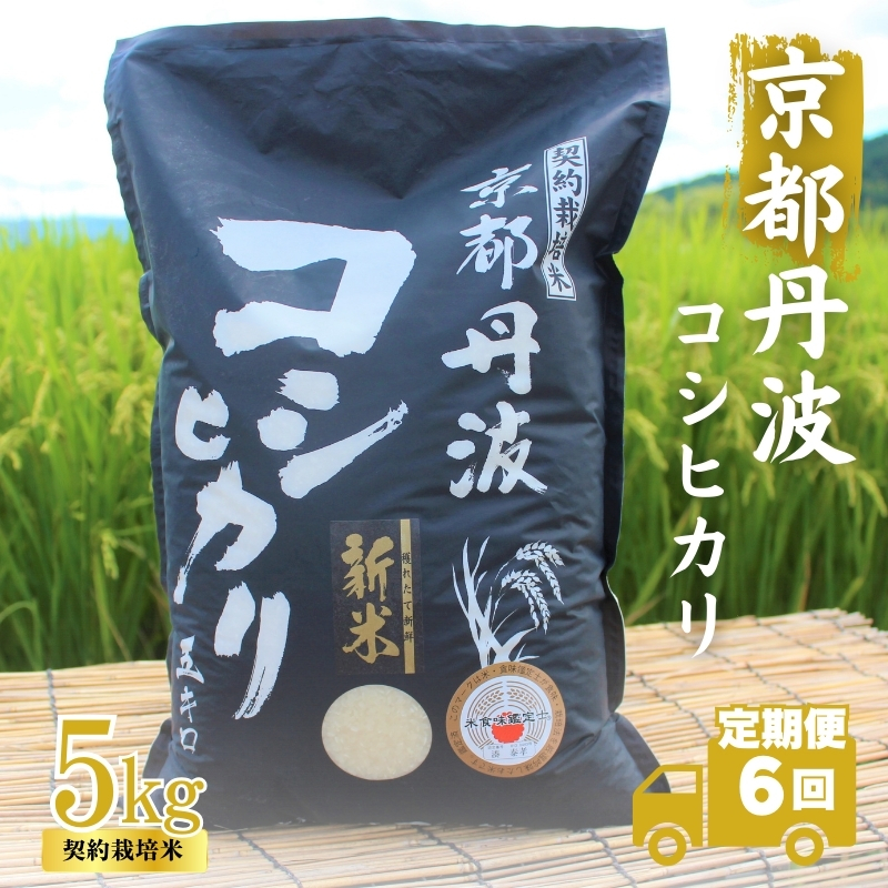 [6カ月定期便]令和6年産 新米 京都丹波産 こしひかり 5kg 合計30kg