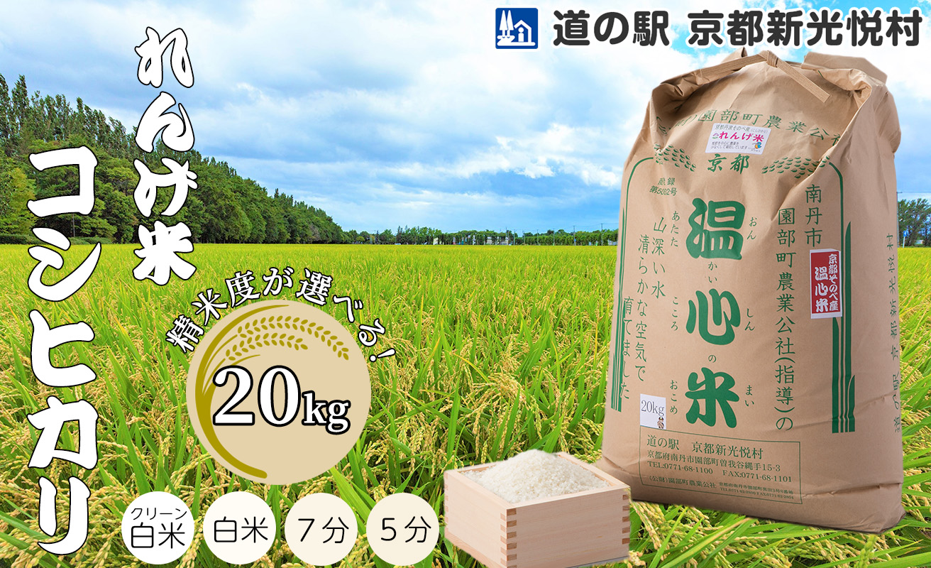036N74-1 れんげ米コシヒカリ「精米」20kg クリーン白米[高島屋選定品］