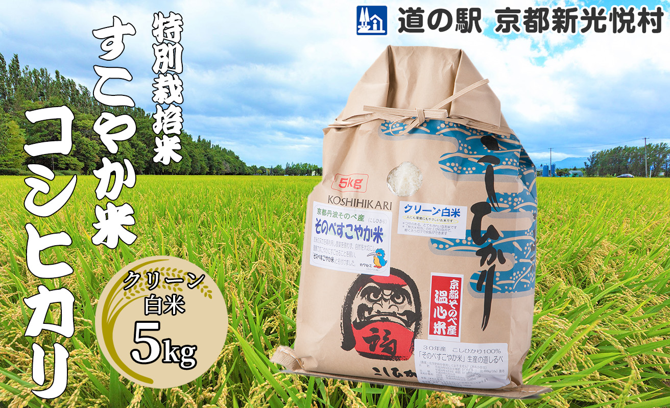 014N55 特別栽培米すこやか米コシヒカリ「クリーン白米」5kg[高島屋選定品］