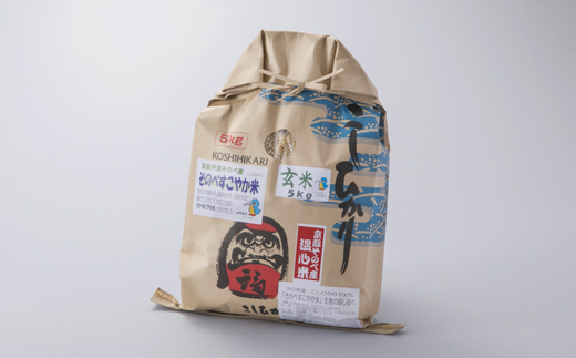 013N54 特別栽培米すこやか米コシヒカリ「玄米」 5kg[高島屋選定品］