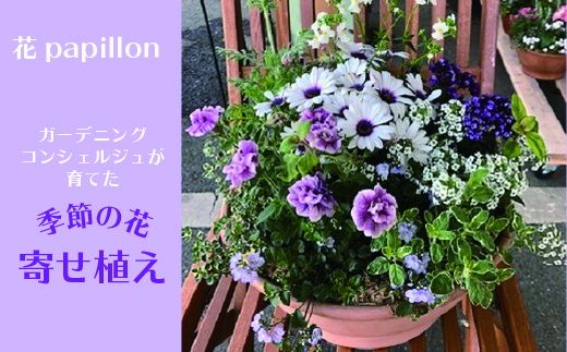 021N345 カーデニングコンシェルジュが育てた季節の花 寄せ植え[高島屋選定品］