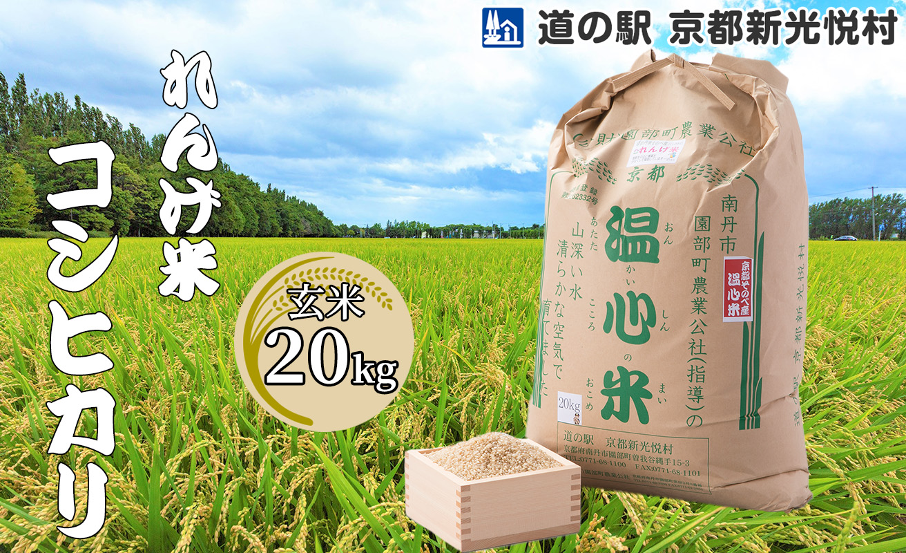 033N69 れんげ米コシヒカリ「玄米」20kg[高島屋選定品］
