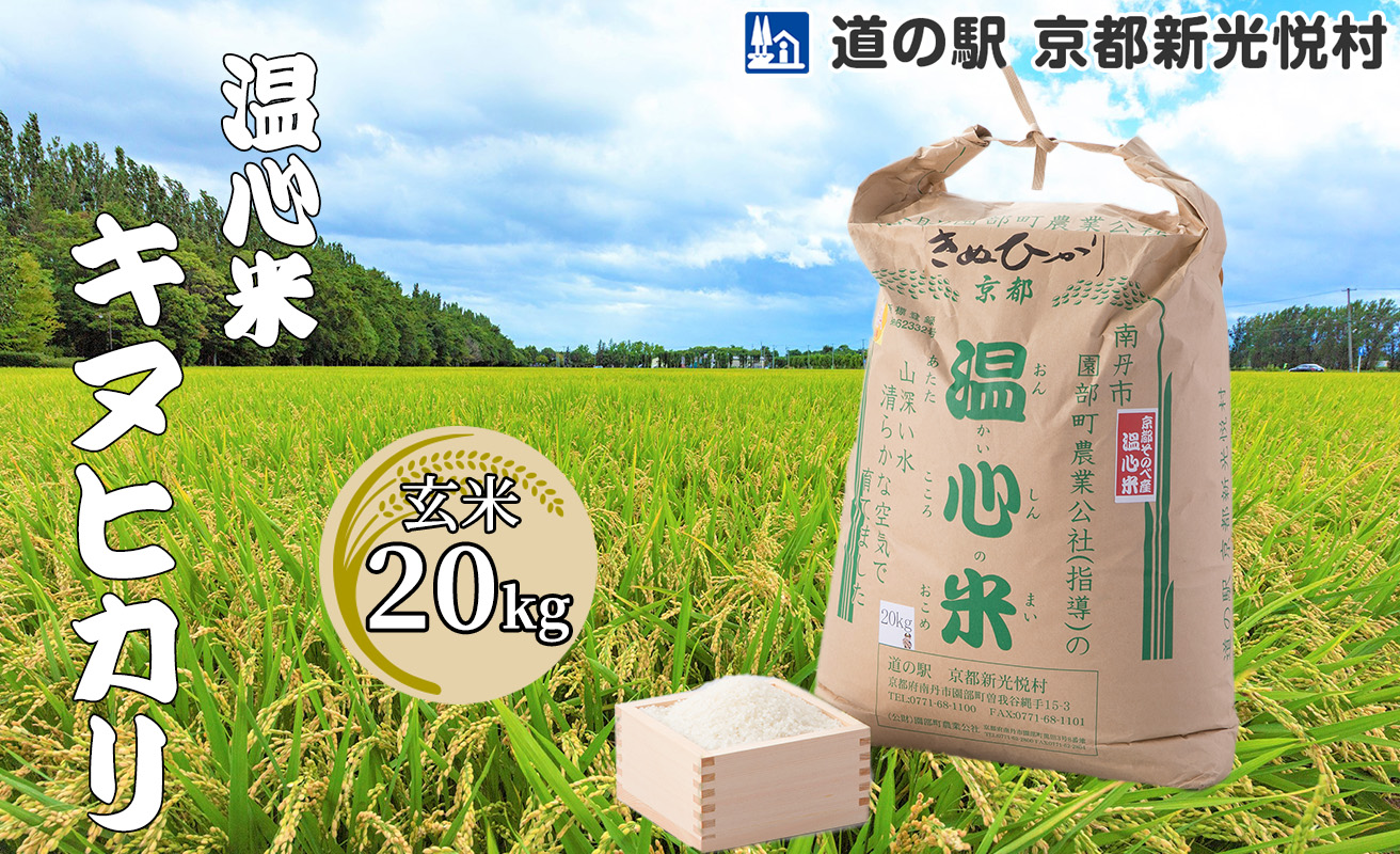 028N63 温心米キヌヒカリ「玄米」20kg[高島屋選定品］