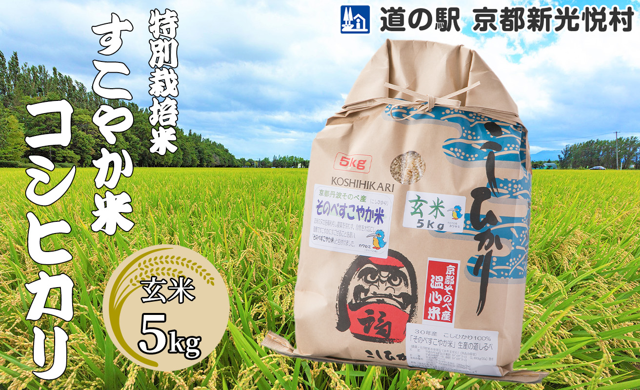 014N54 特別栽培米すこやか米コシヒカリ「玄米」 5kg[高島屋選定品］