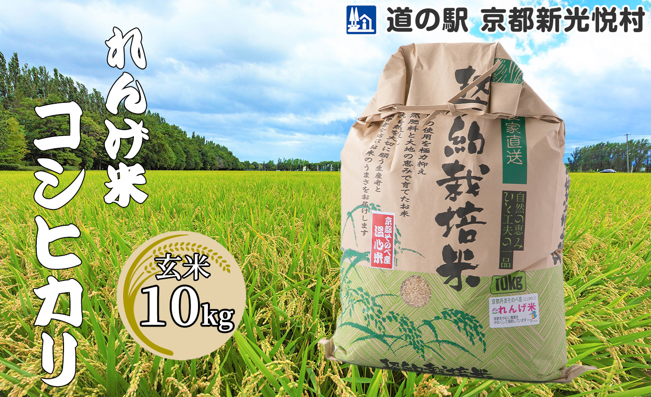 017N60 れんげ米コシヒカリ「玄米」10kg[高島屋選定品］