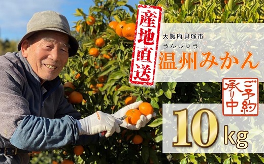 季節の味覚！貝塚市産 温州みかん10kg