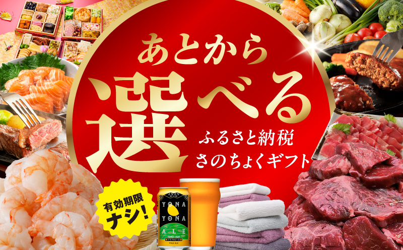 あとから選べる！さのちょくギフト（寄附10,000円コース）【大阪府泉佐野市】約2,800品掲載 あとからセレクト 肉 ビール 酒 かに サーモン 米 野菜 定期便 魚介 海産物 おせち うなぎ 日用品 タオル など sn021