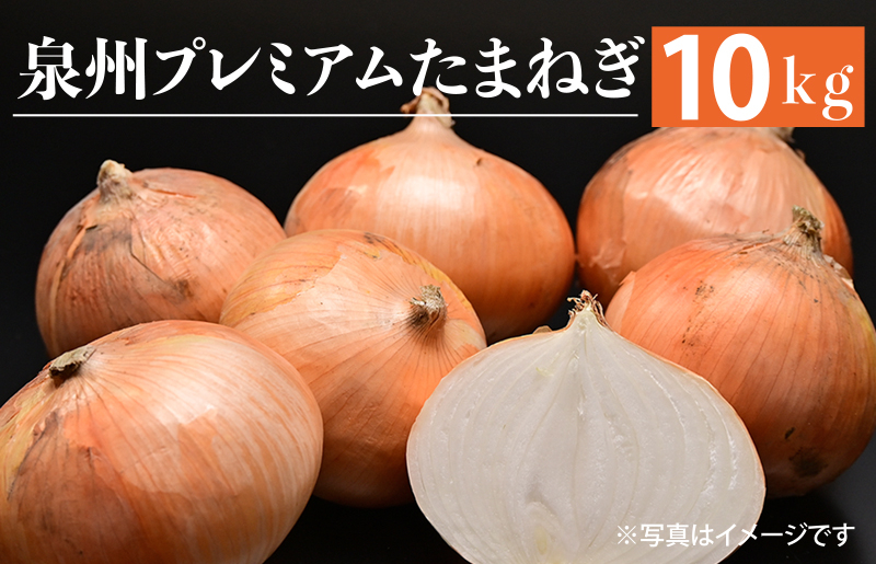 射手矢さんちの泉州プレミアムたまねぎ 10kg 【玉ねぎ タマネギ 玉葱 甘い 野菜 国産 期間限定 オニオン スライス サラダ カレー シチュー バーベキュー BBQ 肉じゃが】 G1317