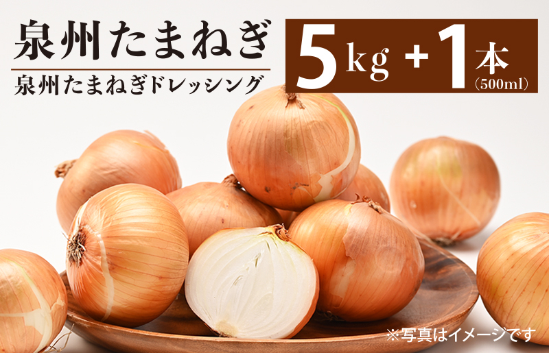 射手矢さんちの泉州たまねぎ 5kgとドレッシング 500ml×1本 G1302