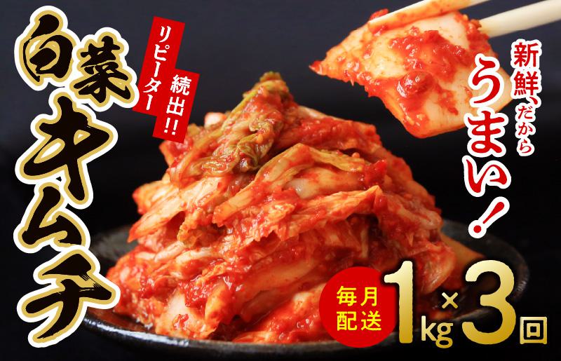 定期便 白菜キムチ 1kg × 3回 大好評 韓国[毎月配送コース]