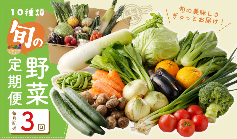 10種類の新鮮野菜 定期便 全3回 詰め合わせ 国産 冷蔵発送【毎月配送コース】 099Z184