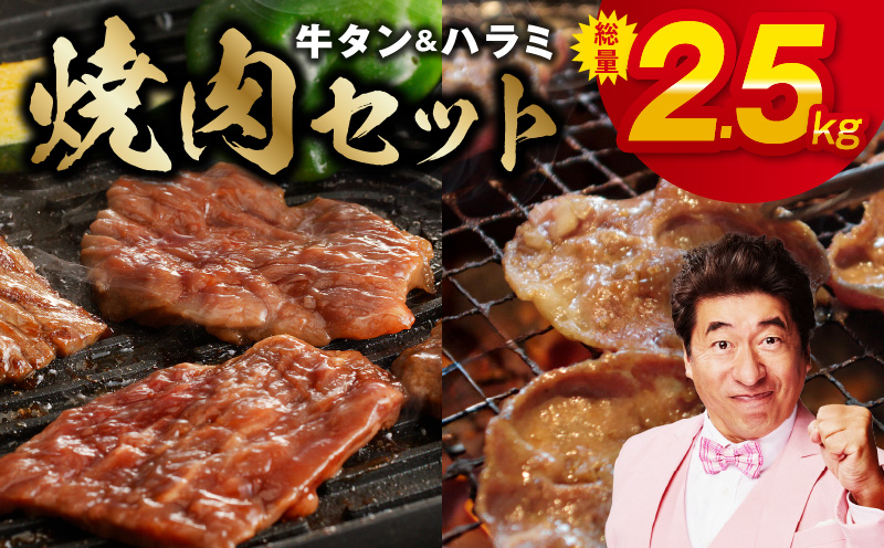 牛タン＆牛ハラミ 総量 2.5kg 焼肉セット【成型牛たん ハラミ 牛肉 焼肉用 薄切り 訳あり サイズ不揃い】 099H3155