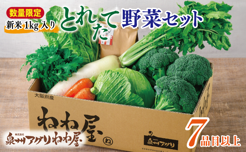 【数量限定】【新米1kg入り】ねね屋の採れたて野菜セット 7品目以上 詰め合わせ 期間限定 099H3018