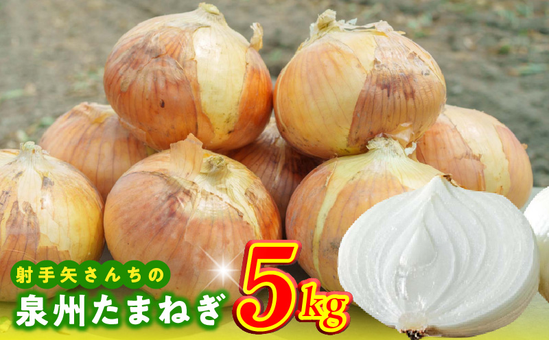 射手矢さんちの泉州たまねぎ 5kg【玉ねぎ タマネギ 玉葱 甘い 野菜 国産 訳あり サイズ不揃い 期間限定 オニオン スライス サラダ カレー シチュー バーベキュー BBQ 肉じゃが】 G1497