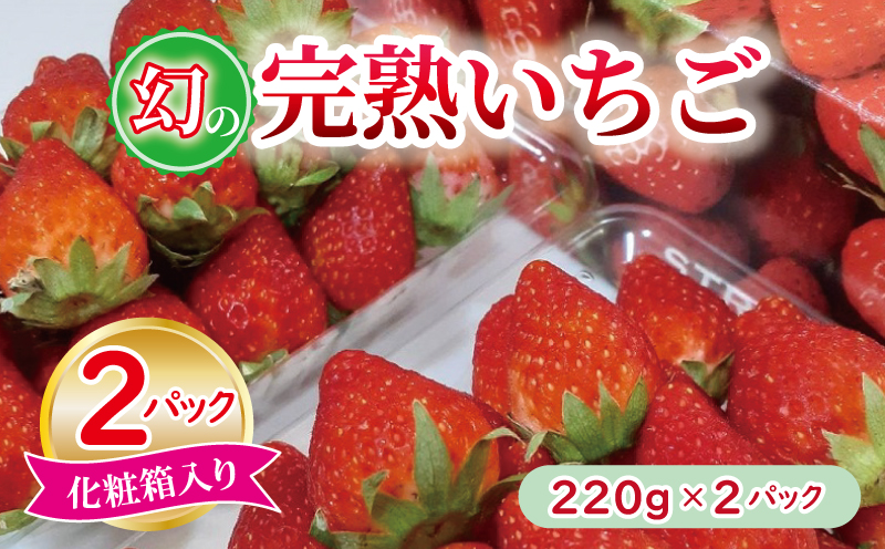 【特別規格】朝摘み完熟いちご 2パック【化粧箱入り 220g×2P 苺 イチゴ フルーツ 果物】 G1631