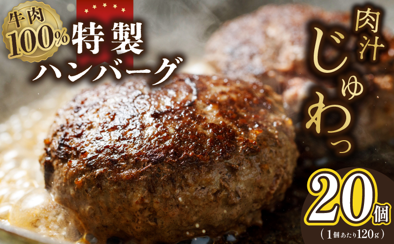 牛肉100％ 特製ハンバーグ 120g×20個 個包装 099H3405