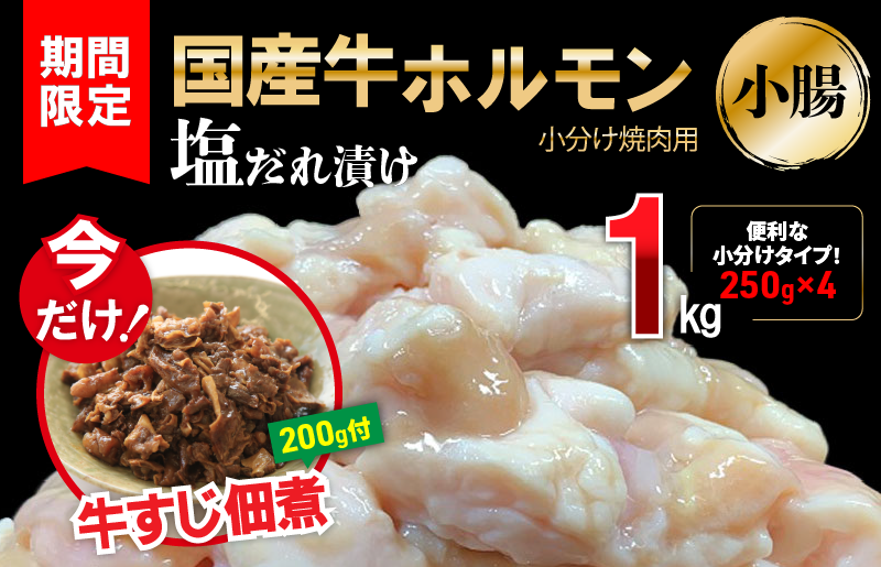 ふるさと納税 泉佐野市 099H909 500g オリジナル梅塩100g付 厚切り黒牛タン 厳選 手切り 【オンライン限定商品】 厳選