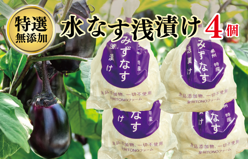 市場 ふるさと納税 旬の野菜の詰め合わせと農薬不使用の生姜200g付き：