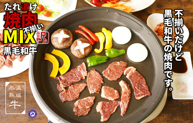 黒毛和牛 特製たれ漬け焼肉 部位MIX 1.2kg（400g×3）小分け サイズ不揃い 訳あり 氷温(R)熟成肉｜ふるラボ