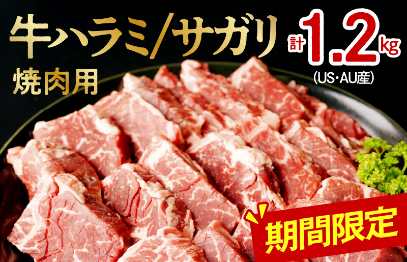 焼肉用 ハラミ サガリ 1.2kg（400g×3）小分け 氷温(R)熟成肉｜ふるラボ