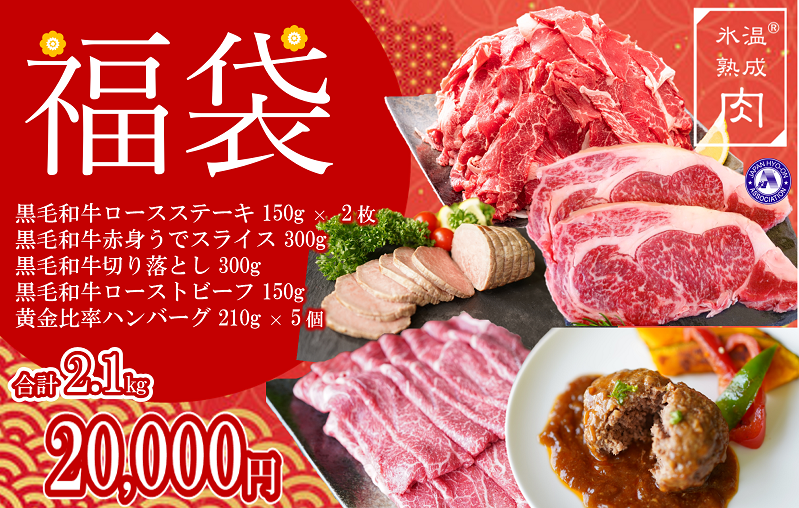 氷温(R)熟成肉 お楽しみ 福袋 20,000円コース（合計2.1kg）牛肉 お肉 精肉 黒毛和牛 赤身うでスライス/ロース  ステーキ/切り落とし/黄金比率ハンバーグ/ローストビーフ｜ふるラボ