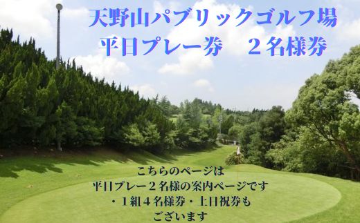 天野山パブリックゴルフ場　平日プレー券　２名様　ゴルフ　ゴルフ利用券　チケット　コース　送料無料