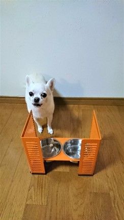 ペット食器台 M（中）クリーム フードボール 2皿 犬 猫 ペット用品 4色