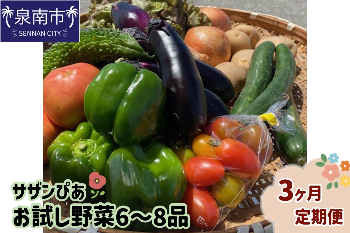 サザンぴあ お試し野菜6～8品 3ヶ月定期便【015B-002】