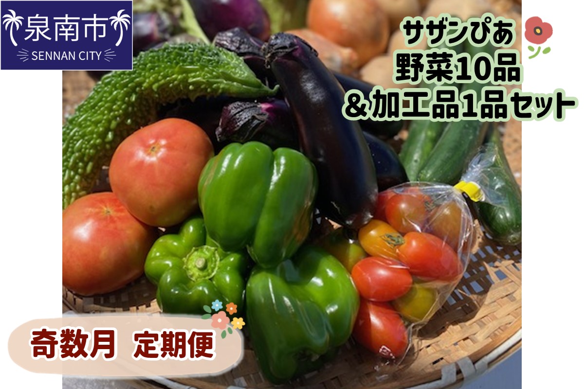 サザンぴあ 野菜10品＆加工品1品セット 奇数月定期便【015A-003】