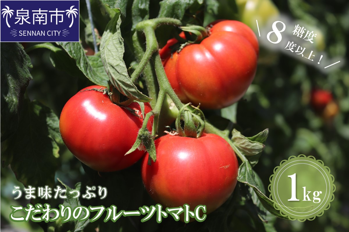 【糖度8度以上】うま味たっぷり こだわりのフルーツトマトC 1kg【配送不可地域：北海道・沖縄・離島】【093E-002】