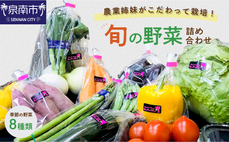 農業姉妹がこだわって栽培！西洋野菜が入った旬の野菜詰め合わせ8種類【024D-008】