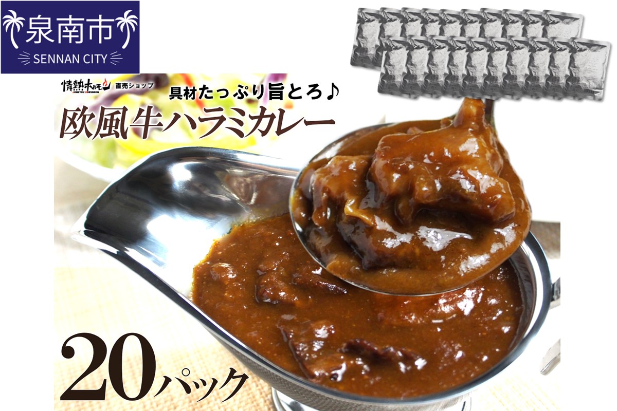 欧風牛ハラミカレー（200g×20パック）【配送不可地域：北海道・沖縄】【069C-001】