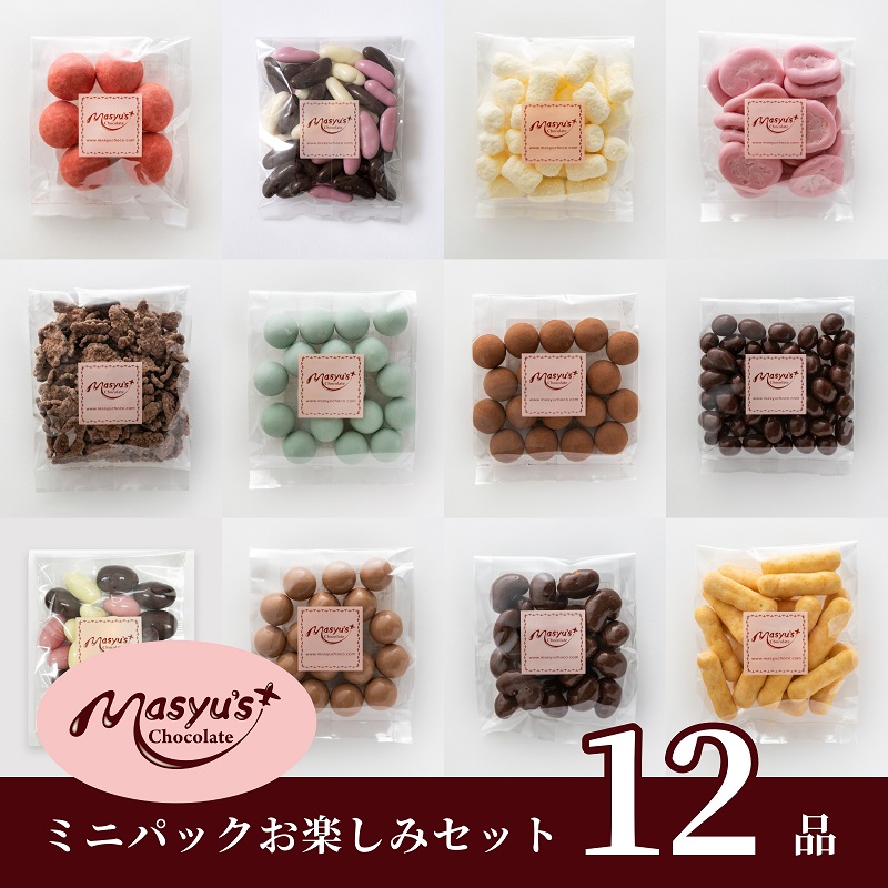 チョコレート ミニパック お楽しみセット 12品 11月〜3月発送 チョコレート チョコ スイーツ お菓子 おかし お楽しみ 詰め合わせ ミニパック セット 食べ比べ ギフト プレゼント 兵庫県 伊丹市