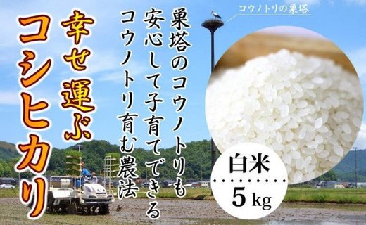 お米 5kg（白米）幸せ運ぶ コシヒカリ 兵庫県豊岡市産｜ふるラボ