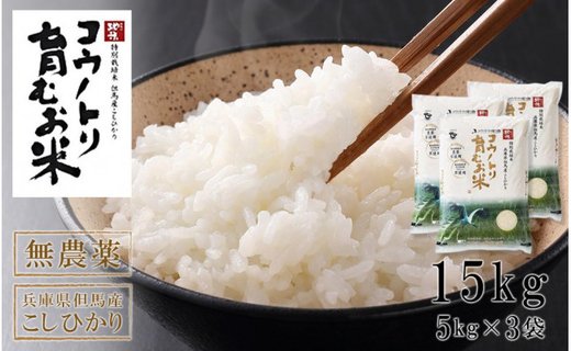 食品/飲料/酒お米　令和3年　愛媛県産あきたこまち 玄米　20kg