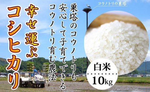 お米 10kg（白米）幸せ運ぶ コシヒカリ 兵庫県豊岡市産