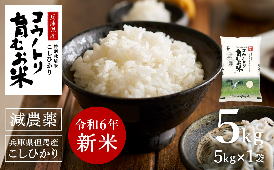 【ふるさと納税】【令和6年産】先行予約 コウノトリ育むお米減農薬 【5kg×１袋】（94-004）