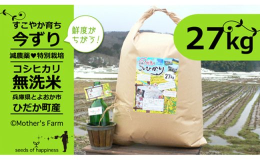お米 27kg（白米）今ずり・無洗米 コシヒカリ 兵庫県但馬産