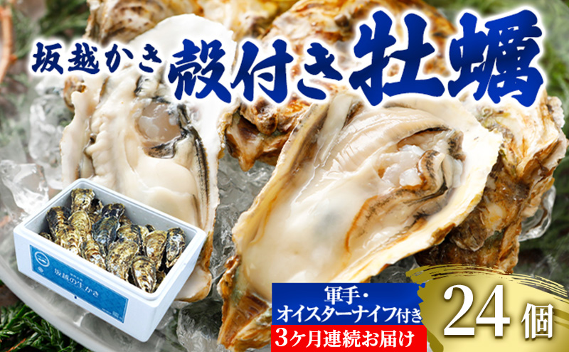  定期便 牡蠣 坂越かき 殻付き牡蠣 24個 オイスターナイフ付き【3ヵ月連続お届け】[ 生牡蠣 かき カキ 殻付 生食 冬牡蠣 ]