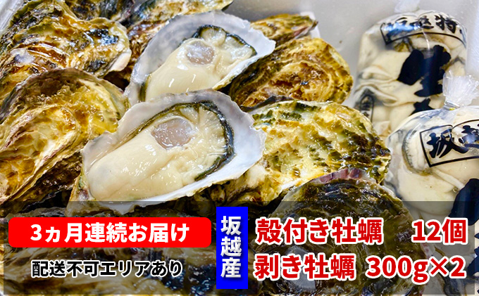  定期便 牡蠣 坂越かき 剥き牡蠣 300g×2、殻付き牡蠣 12個 オイスターナイフ付き【3ヵ月連続お届け】[ 生牡蠣 かき カキ 生食 冬牡蠣 ] 魚貝類 