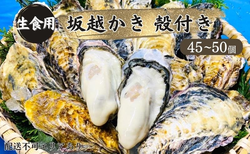 牡蠣 生食用 坂越かき 殻付き 45～50個[ 生牡蠣 真牡蠣 かき カキ 冬